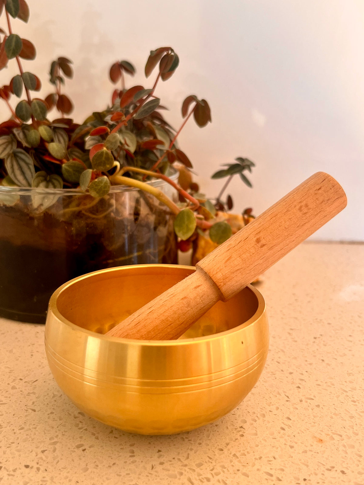 Brass Singing Bowl with Wooden Mallet | Meditation & Sound Healing